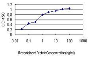 Detection limit for recombinant GST tagged CDSN is approximately 0. (Corneodesmosin antibody  (AA 306-355))