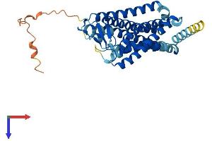 AlphaFold protein structure predicition of Human Recombinant OR4A15 Protein, UniprotID Q8NGL6 (OR4A15 Protein (AA 1-344) (His tag))