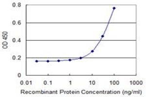 Detection limit for recombinant GST tagged PHB2 is 1 ng/ml as a capture antibody. (Prohibitin 2 antibody  (AA 37-299))