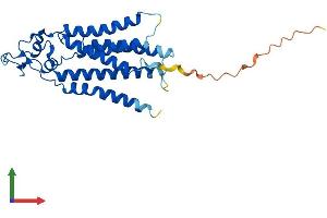 AlphaFold protein structure predicition of Mouse Recombinant Plpp2 Protein, UniprotID Q9DAX2 (PPAP2C Protein (AA 1-276) (His tag))