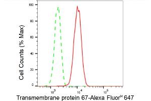 Flow cytometric analysis of Transmembrane protein 67 expression in HepG2 cells using Transmembrane protein 67 antibody (ABIN7800623), 1:2,000). (Recombinant TMEM67 antibody)