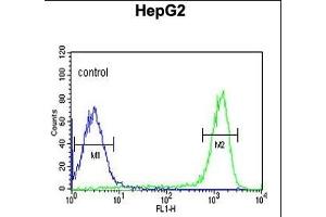 FH2 Antibody (C-term) (ABIN651343 and ABIN2840194) flow cytometric analysis of HepG2 cells (right histogram) compared to a negative control cell (left histogram). (FAAH2 antibody  (C-Term))