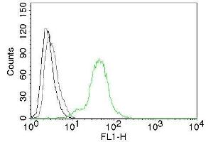 Flow Cytometry of human ER beta on BT474 cells. (ESR2 antibody  (C-Term))