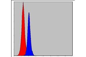 Flow cytometric analysis of MCF-7 cells using CEBPB mouse mAb (blue) and negative control (red). (CEBPB antibody)