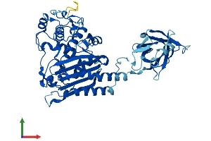 AlphaFold protein structure predicition of Human Recombinant LACTBL1 Protein, UniprotID A8MY62 (LACTBL1 Protein (AA 1-500) (His tag))