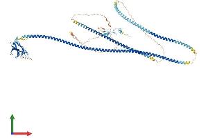 Protein Structure (PS) image for Tax1 (Human T-Cell Leukemia Virus Type I) Binding Protein 1 (TAX1BP1) (AA 1-814) protein (His tag) (ABIN7563728)