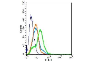 RSC96 cells probed with NMUR1/GPR66 Polyclonal Antibody, Unconjugated  at 1:100 for 30 minutes followed by incubation with a conjugated secondary -FITC) (green) for 30 minutes compared to control cells (blue), secondary only (light blue) and isotype control (orange). (NMUR1 antibody  (AA 31-80))