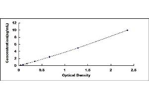 Typical standard curve (Macrophage Mannose Receptor 1 ELISA Kit)