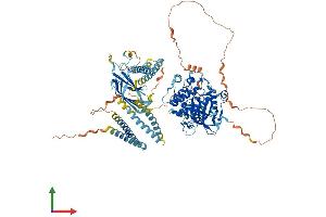 AlphaFold protein structure predicition of Human Recombinant PKN3 Protein, UniprotID Q6P5Z2 (PKN3 Protein (AA 1-889) (His tag))
