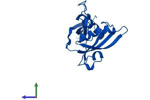 AlphaFold protein structure predicition of Mouse Recombinant Rpl18a Protein, UniprotID P62717 (RPL18A Protein (AA 1-176) (His tag))