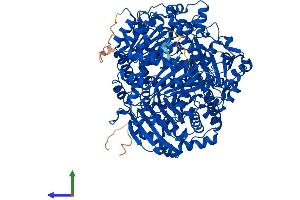 Protein Structure (PS) image for Insulin-Degrading Enzyme (IDE) (AA 1-1019) protein (His tag) (ABIN7554135)
