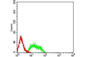 Flow cytometric analysis of SK-N-SH cells using GRM8 mouse mAb (green) and negative control (red).