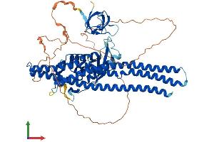 AlphaFold protein structure predicition of Mouse Recombinant Snx18 Protein, UniprotID Q91ZR2