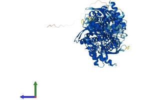 AlphaFold protein structure predicition of Mouse Recombinant Hk3 Protein, UniprotID Q3TRM8 (HK3 Protein (AA 1-922) (His tag))