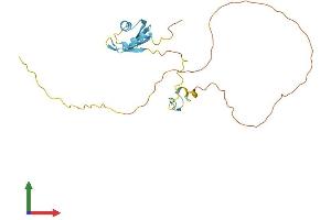 AlphaFold protein structure predicition of Human Recombinant SRSF7 Protein, UniprotID Q16629 (SFRS7 Protein (AA 1-238) (His tag))
