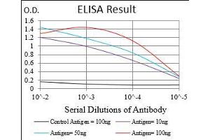 Black line: Control Antigen (100 ng), Purple line: Antigen(10 ng), Blue line: Antigen (50 ng), Red line: Antigen (100 ng), (MSTN antibody  (AA 24-266))