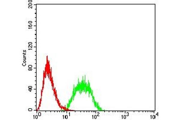 CD80 antibody  (AA 35-288)