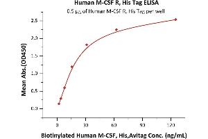 Immobilized Human M-CSF R, His Tag (ABIN2180910,ABIN2180909) at 5 μg/mL (100 μL/well) can bind Biotinylated Human M-CSF, His,Avitag (ABIN6386447,ABIN6388276) with a linear range of 2-31 ng/mL (QC tested). (CSF1R Protein (AA 20-512) (His tag))