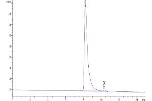 Size-exclusion chromatography-High Pressure Liquid Chromatography (SEC-HPLC) image for Immunoglobulin Superfamily, Member 11 (IGSF11) (AA 23-240) protein (His tag) (ABIN7275047)