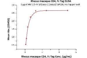 ELISA image for CD4 (CD4) (AA 26-390) (Active) protein (Fc Tag) (ABIN2180784)