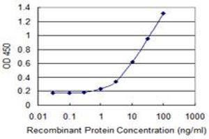Detection limit for recombinant GST tagged ZNF165 is 0. (ZNF165 antibody  (AA 1-485))