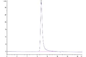 The purity of Biotinylated Human CD200 R1 is greater than 95 % as determined by SEC-HPLC. (CD200R1 Protein (His-Avi Tag,Biotin))