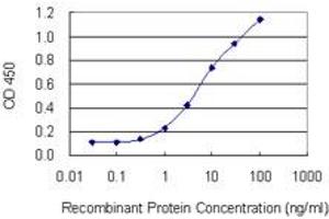 Detection limit for recombinant GST tagged KIRREL3 is 0. (KIRREL3 antibody  (AA 679-778))
