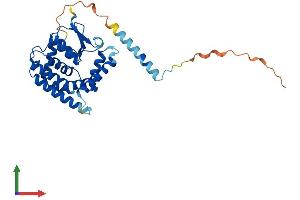 Protein Structure (PS) image for Metaxin 1 (MTX1) (AA 1-317) protein (His tag) (ABIN7563293)
