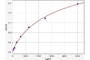 Typical standard curve (HNRNPF ELISA Kit)