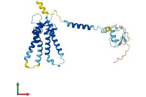 Protein Structure (PS) image for Peroxisomal Biogenesis Factor 2 (PEX2) (AA 1-305) protein (His tag) (ABIN7550708)