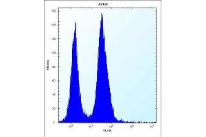 Flow Cytometry (FACS) image for anti-Signal Sequence Receptor, beta (Translocon-Associated Protein Beta) (SSR2) antibody (ABIN2997190) (SSR2 antibody)