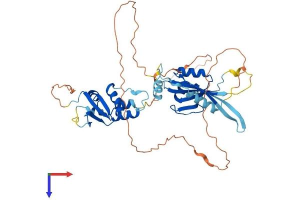 KCTD16 Protein (AA 1-427) (His tag)