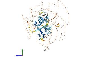 AlphaFold protein structure predicition of Mouse Recombinant Adnp2 Protein, UniprotID Q8CHC8 (ADNP2 Protein (AA 1-1165) (His tag))