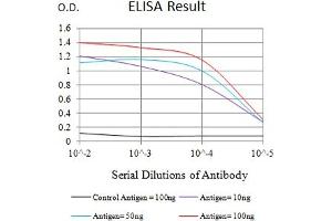 Black line: Control Antigen (100 ng),Purple line: Antigen (10 ng), Blue line: Antigen (50 ng), Red line:Antigen (100 ng) (TNFRSF19 antibody  (AA 30-170))