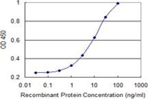 Detection limit for recombinant GST tagged HSPB6 is 0. (HSPB6 antibody  (AA 1-160))