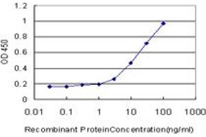 Detection limit for recombinant GST tagged RPL32 is approximately 0. (RPL32 antibody  (AA 33-132))