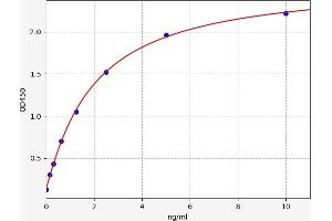 Typical standard curve (KRT20 ELISA Kit)