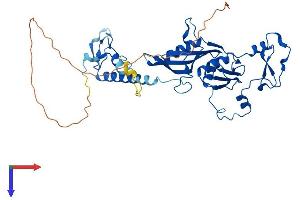AlphaFold protein structure predicition of Human Recombinant MRPS5 Protein, UniprotID P82675 (MRPS5 Protein (AA 1-430) (His tag))