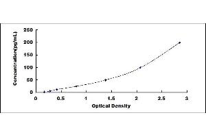 Typical standard curve (IFNB1 ELISA Kit)