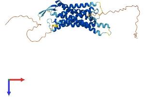 GRPR Protein (AA 1-384) (His tag)