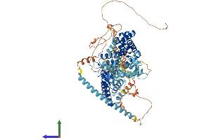 AlphaFold protein structure predicition of Human Recombinant RASGRP1 Protein, UniprotID O95267 (RASGRP1 Protein (AA 1-797) (His tag))