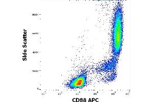 Flow cytometry surface staining pattern of human peripheral whole blood stained using anti-human CD88 (S5/1) APC antibody (10 μL reagent / 100 μL of peripheral whole blood). (C5AR1 antibody  (AA 15-27) (APC))