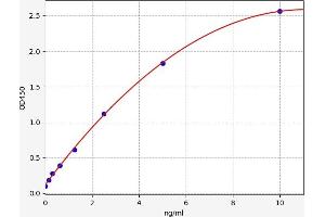 Typical standard curve (Cofilin ELISA Kit)