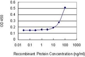 Detection limit for recombinant GST tagged ARPC2 is 3 ng/ml as a capture antibody. (ARPC2 antibody  (AA 1-300))
