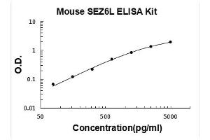 Seizure Related 6 Homolog Like (SEZ6L) ELISA Kit