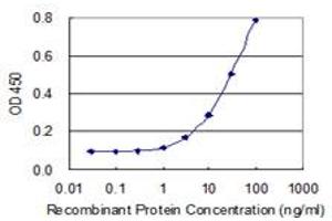 Detection limit for recombinant GST tagged IER2 is 1 ng/ml as a capture antibody. (IER2 antibody  (AA 1-223))