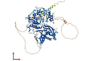 AlphaFold protein structure predicition of Human Recombinant XYLT1 Protein, UniprotID Q86Y38 (XYLT1 Protein (AA 1-959) (His tag))