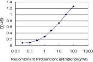 Detection limit for recombinant GST tagged GRHPR is approximately 0. (GRHPR antibody  (AA 1-328))