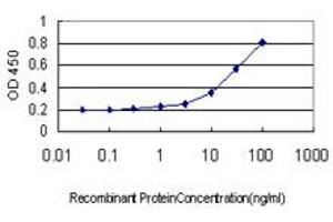 Detection limit for recombinant GST tagged RPL36A is approximately 1ng/ml as a capture antibody. (RPL36A antibody  (AA 7-106))
