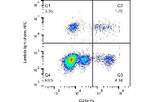 Flow cytometry analysis (surface staining) of lambda light chains in human peripheral blood with anti-lambda light chains (1-155-2) APC. (Lambda-IgLC antibody  (APC))